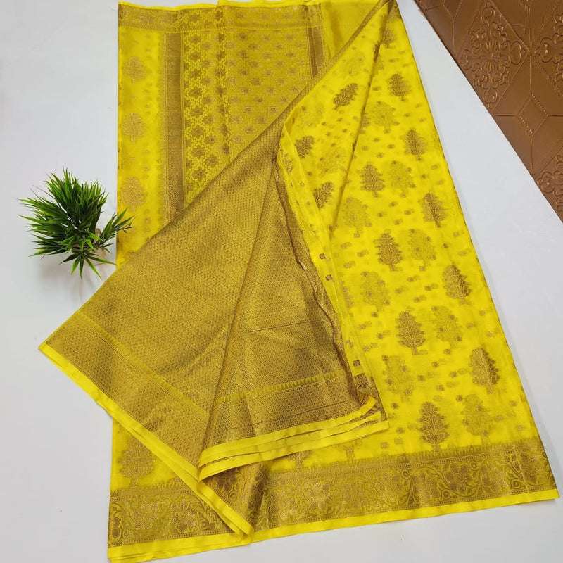 Banarasi Sami Warm Silk Saree With Blouse.